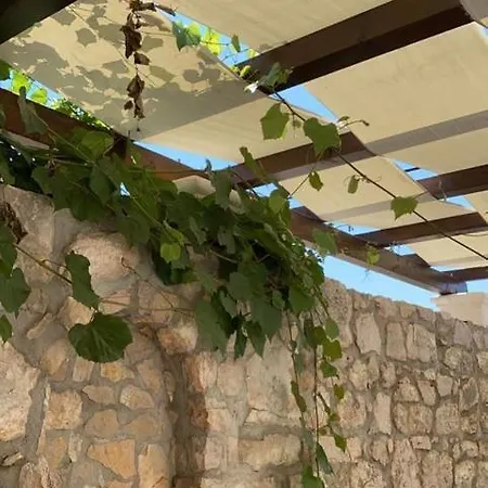 Tatil Evi Brigita -